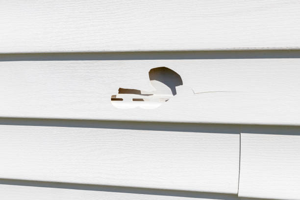 Best Property Management Cleanouts  in Bell Nyon, CA